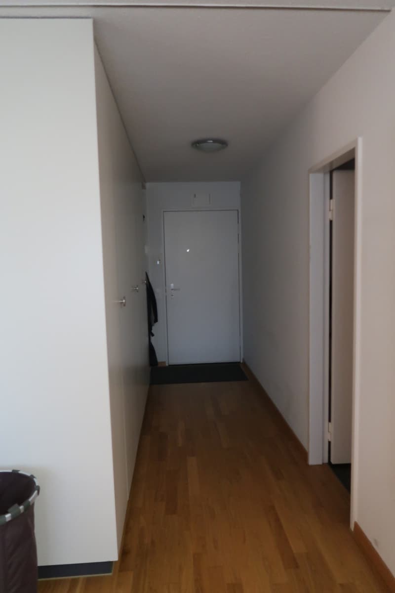 1.5 Zimmerwohnung Nähe Hirslanden/Kispi/Schulthess/Balgrist (4)