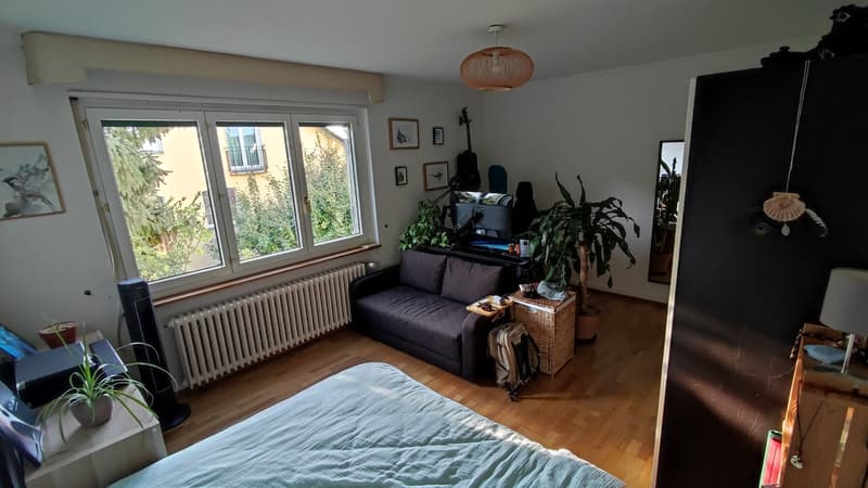 Room in a friendly international WG in Zurich-Höngg (2)