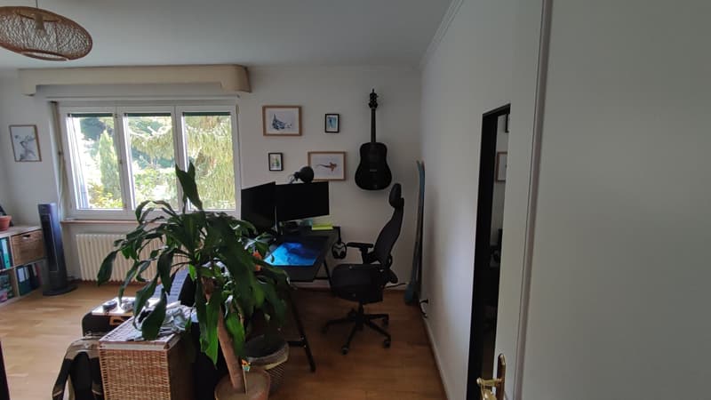 Room in a friendly international WG in Zurich-Höngg (4)