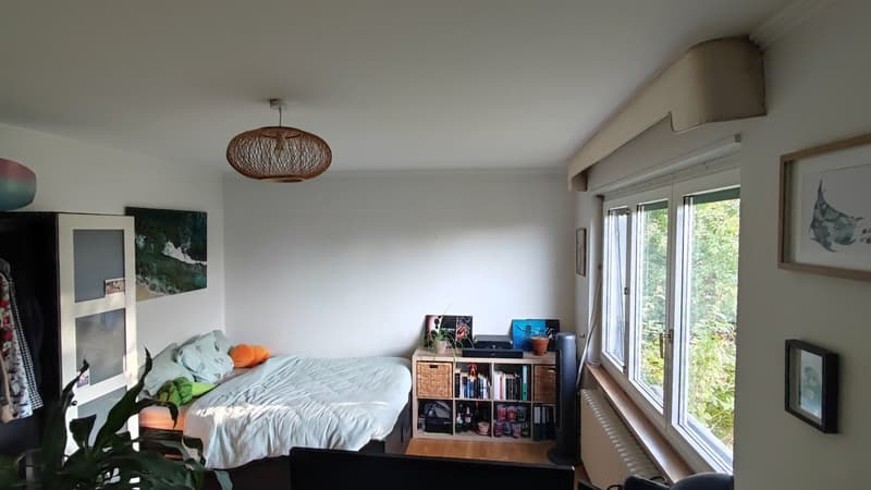 Room in a friendly international WG in Zurich-Höngg (3)