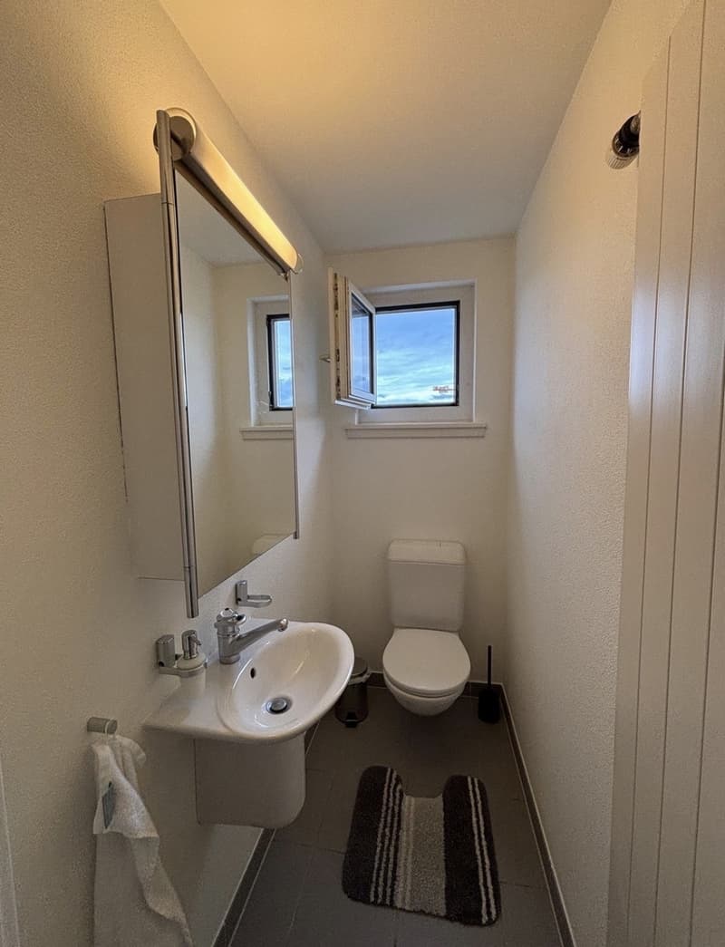 WG Zimmer in Zürich mieten (13)