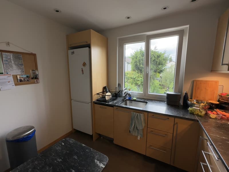 WG Zimmer in Zürich mieten (7)