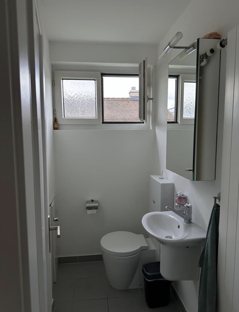 WG Zimmer in Zürich mieten (10)