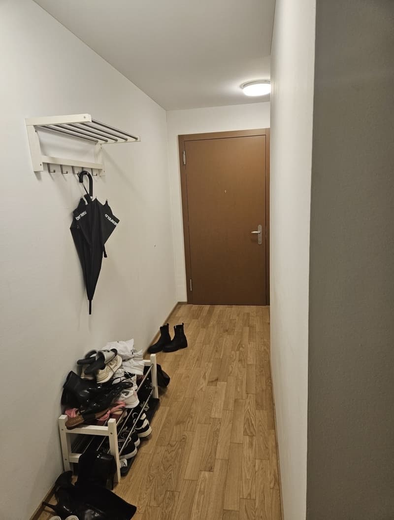 Nachmieter/-in gesucht: Schönes Zimmer in 3er-WG an genialer Lage in Horw - per 1. Oktober (6)