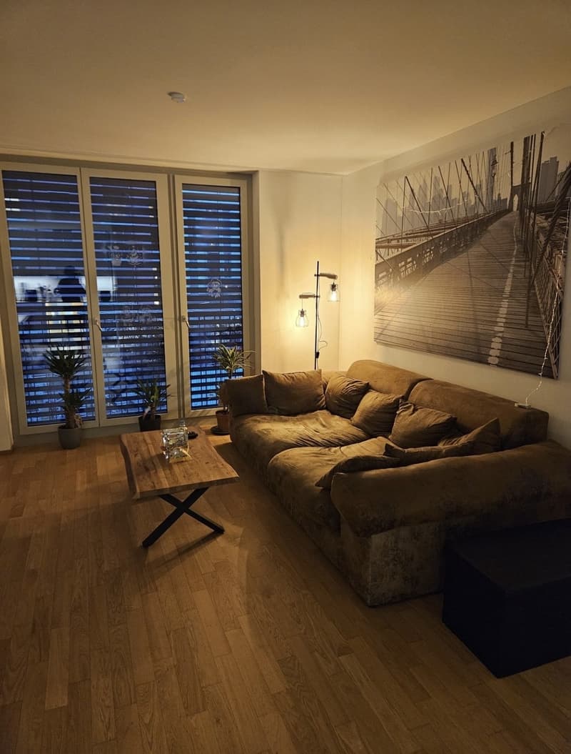 Nachmieter/-in gesucht: Schönes Zimmer in 3er-WG an genialer Lage in Horw - per 1. Oktober (3)