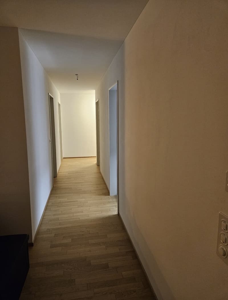 Nachmieter/-in gesucht: Schönes Zimmer in 3er-WG an genialer Lage in Horw - per 1. Oktober (5)