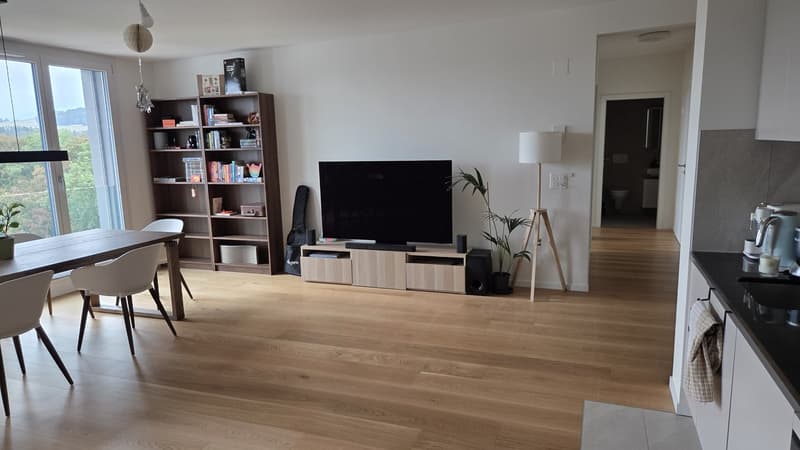 Attique 3,5 pièces avec terrasse privative  Bd de Pérolles, Fribourg  reprise de bail (2)