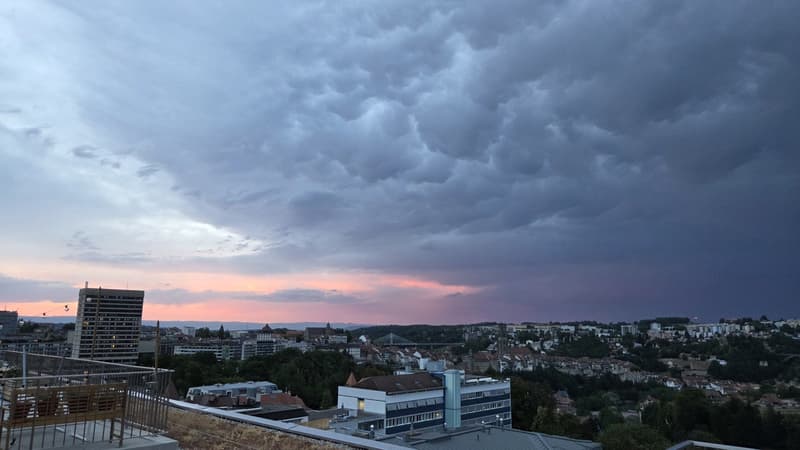 Attique 3,5 pièces avec terrasse privative  Bd de Pérolles, Fribourg  reprise de bail (11)