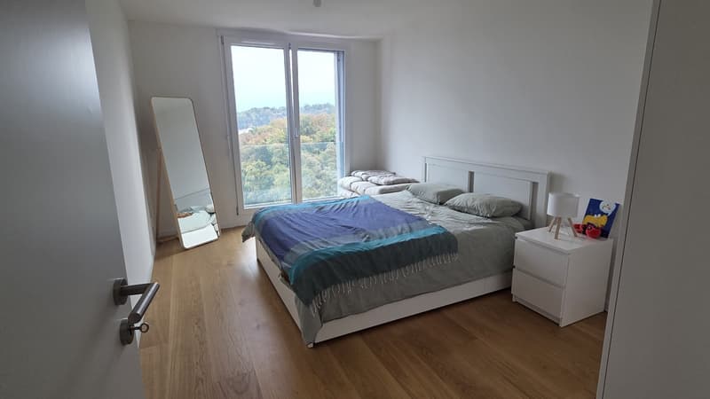 Attique 3,5 pièces avec terrasse privative  Bd de Pérolles, Fribourg  reprise de bail (3)