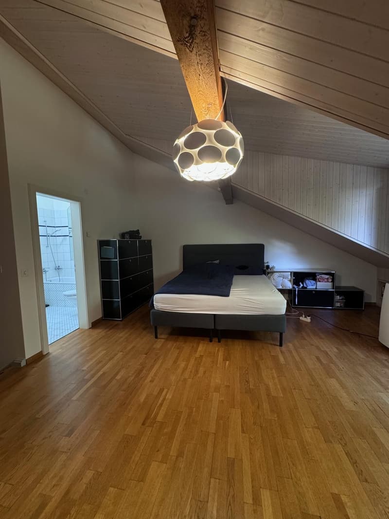 2.5-Zimmer-Maisonette mit Limmatblick Niederdorfstrasse, 8001 Zürich (4)