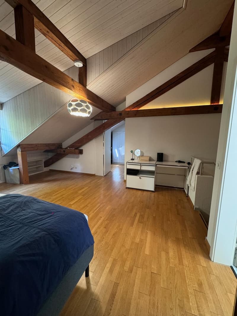 2.5-Zimmer-Maisonette mit Limmatblick Niederdorfstrasse, 8001 Zürich (3)