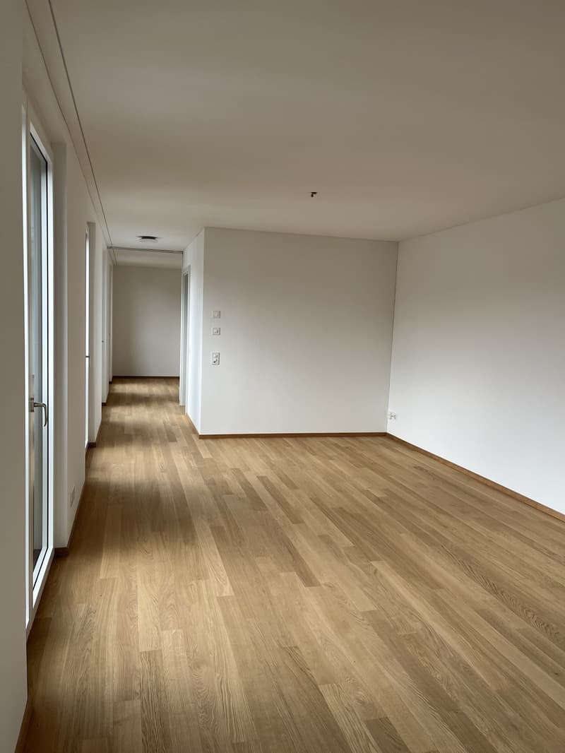 2 ½ Zimmer-Wohnung, 8620 Wetzikon (11)