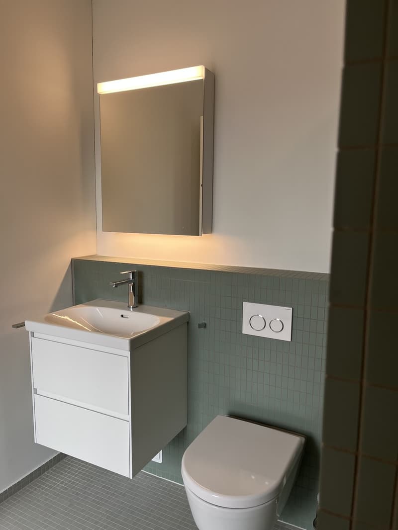 2 ½ Zimmer-Wohnung, 8620 Wetzikon (2)