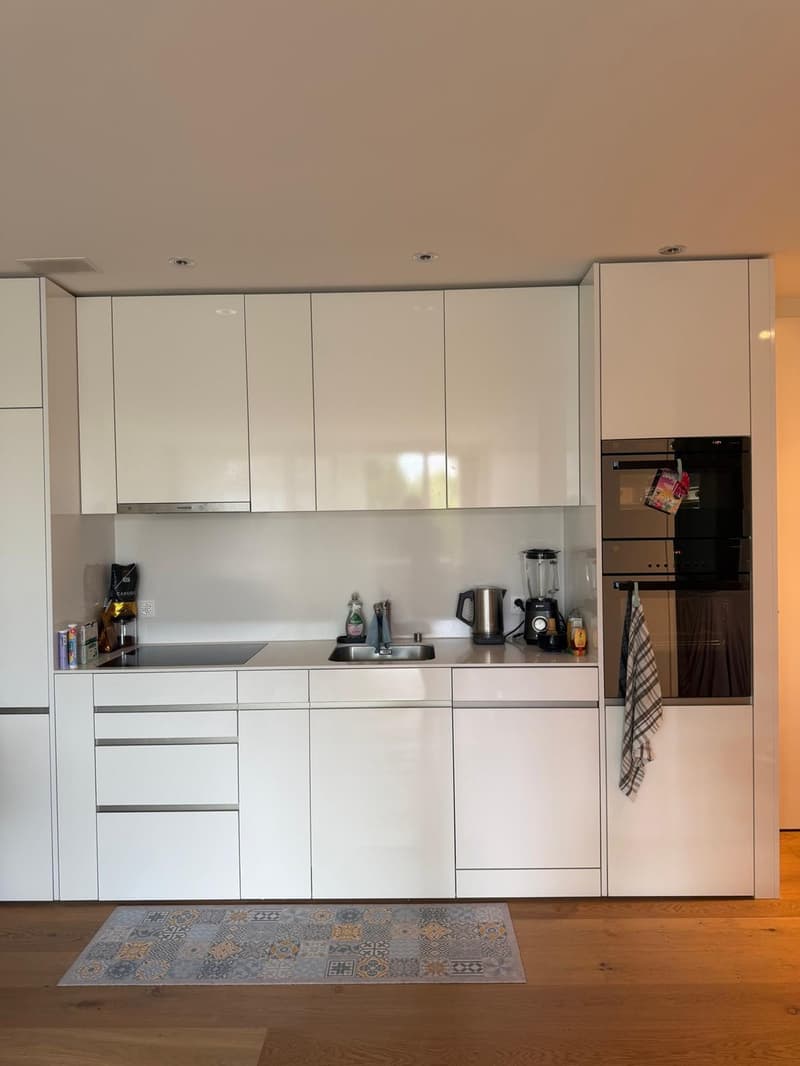 Moderne 2.5-Zimmer-Wohnung mit Loggia in Kloten mieten (4)
