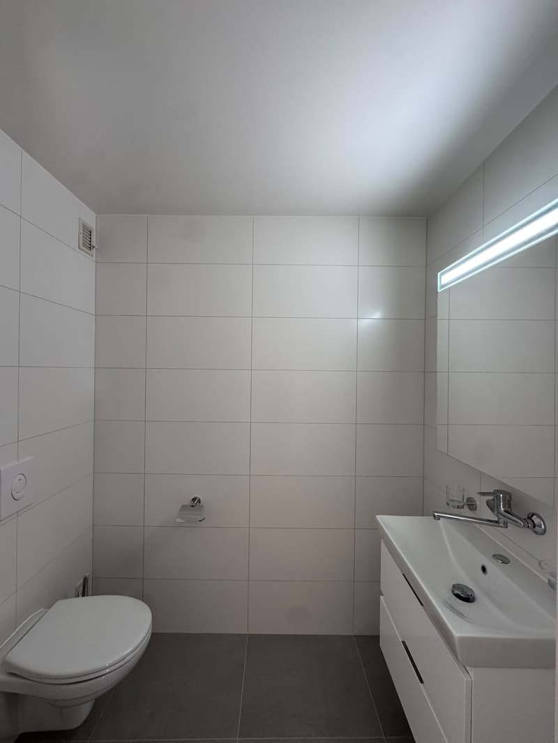 Wonderful 2 bedrooms flat in Begnins (11)