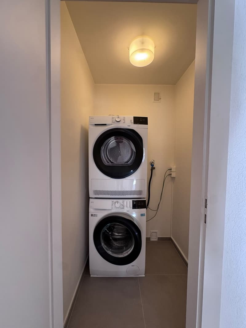 Wonderful 2 bedrooms flat in Begnins (12)