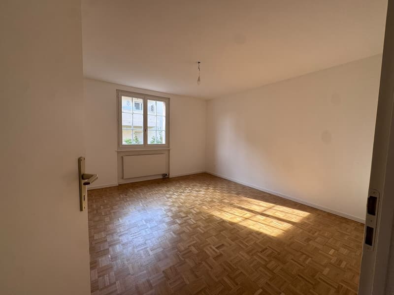 Wonderful 2 bedrooms flat in Begnins (8)