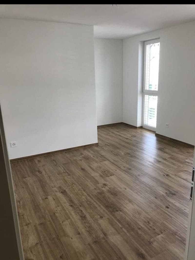 Moderne Attikawohnung mit Weitblick (4)