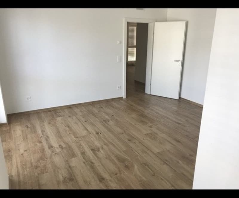 Moderne Attikawohnung mit Weitblick (6)