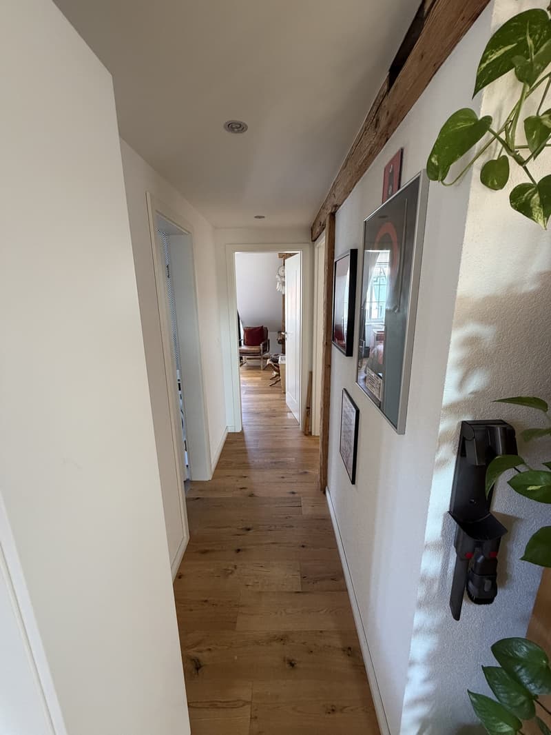 Charmante 3.5 Zimmer Wohnung in der Altstadt Solothurn (1)