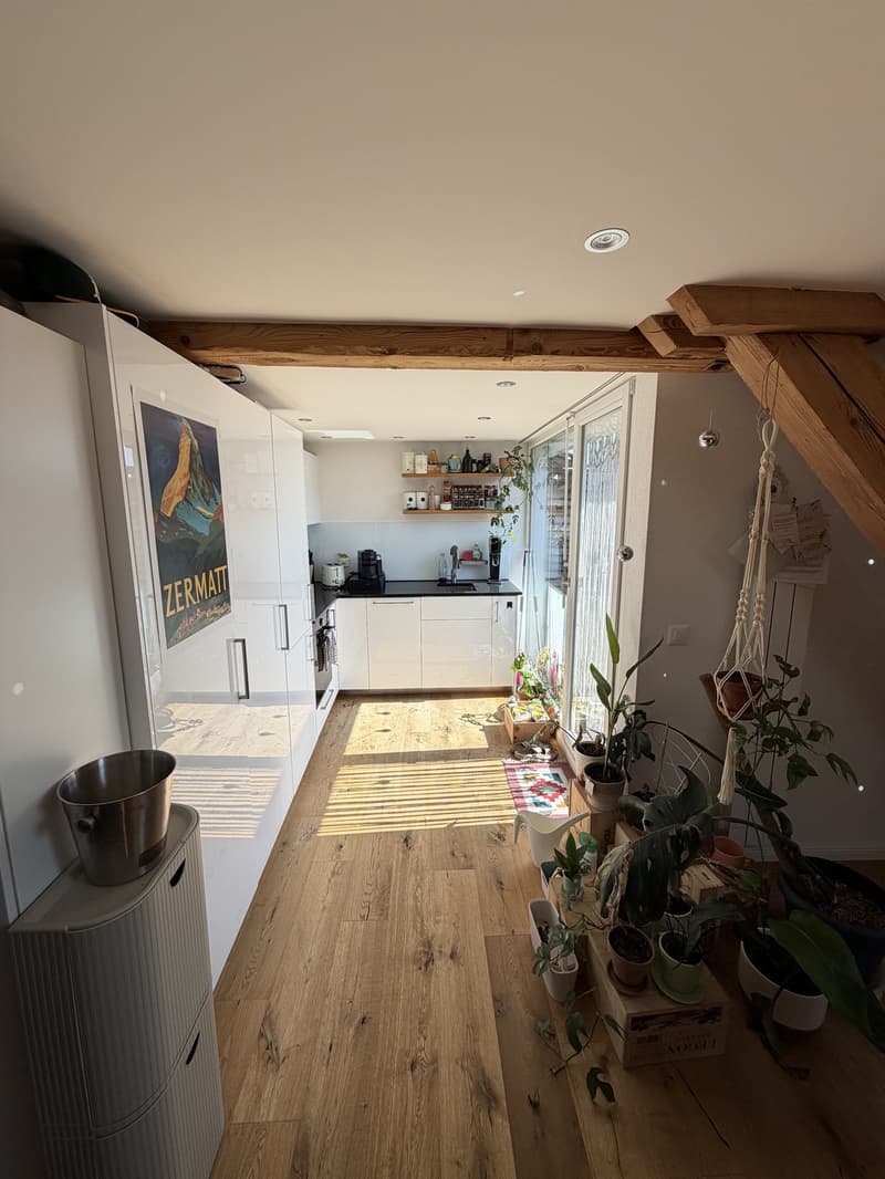 Charmante 3.5 Zimmer Wohnung in der Altstadt Solothurn (9)