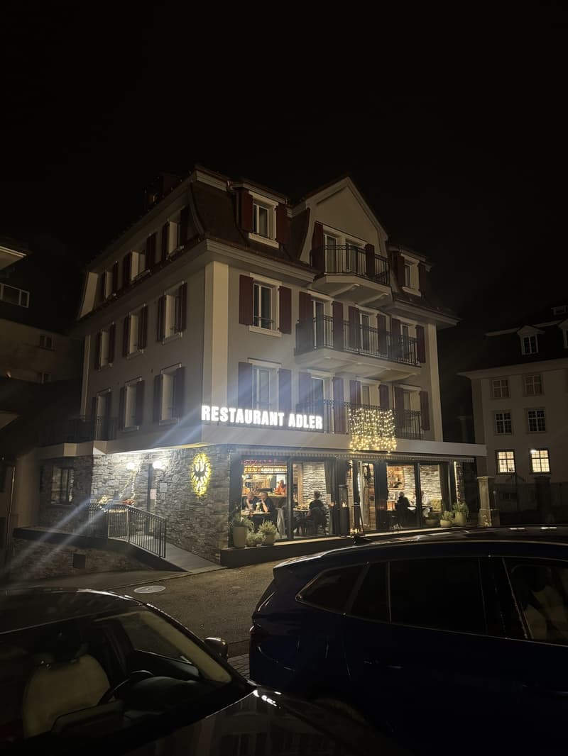 Charming 3.5-Room Apartment near the Lake in Gersau (4)