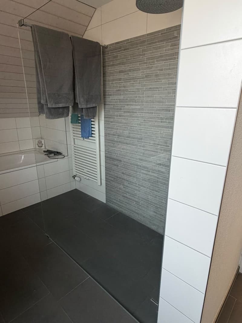 Nachmieter gesucht 3.5-Zimmer-Dachwohnung in Weiningen ZH (6)