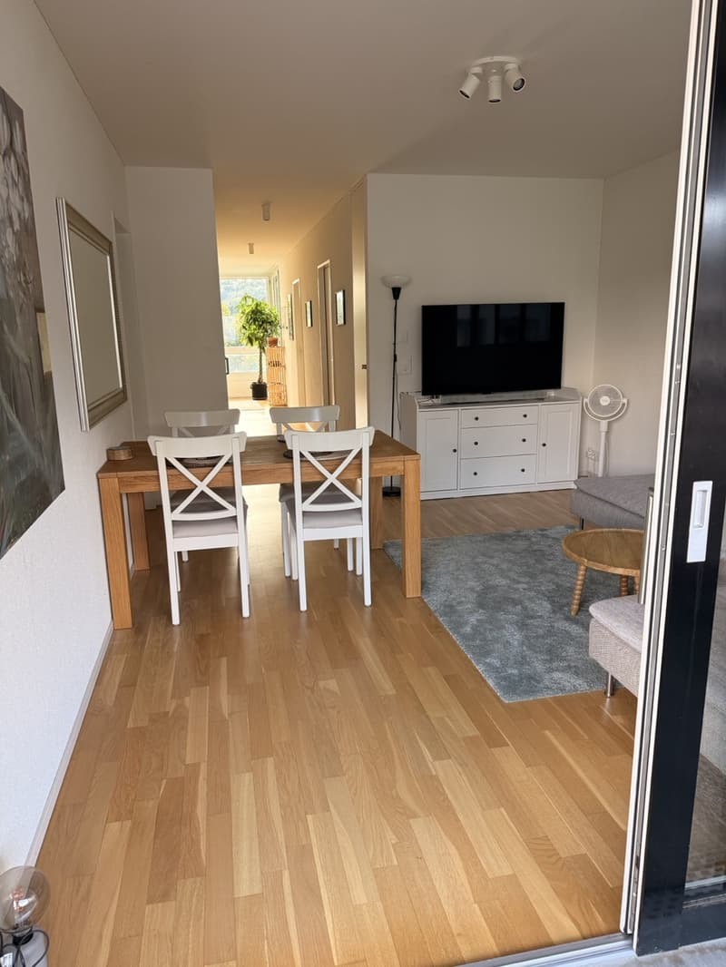 Modernes Apartment in Lenzburg (9)