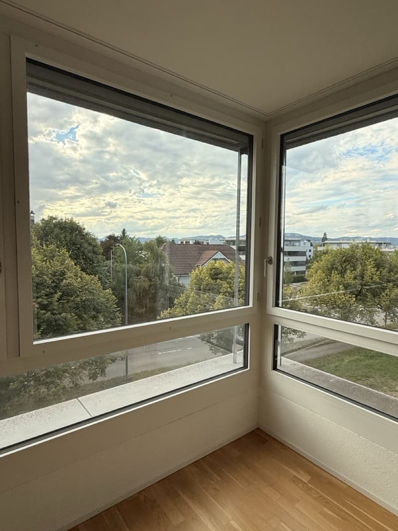 Modernes Apartment in Lenzburg (3)