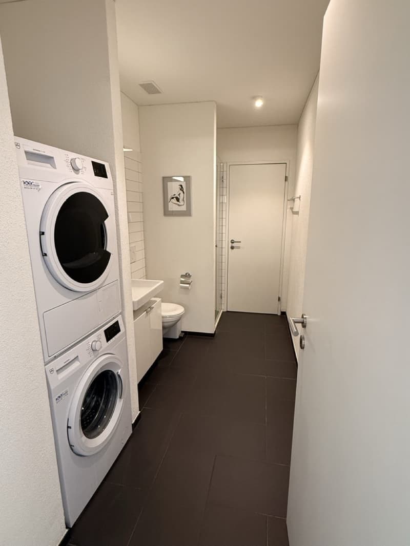 Modernes Apartment in Lenzburg (13)