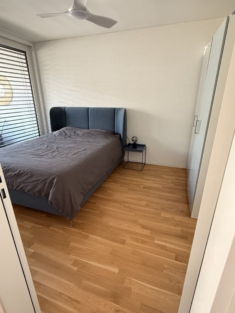 Modernes Apartment in Lenzburg (11)