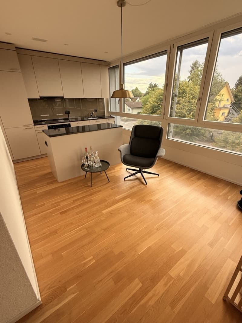 Modernes Apartment in Lenzburg (2)