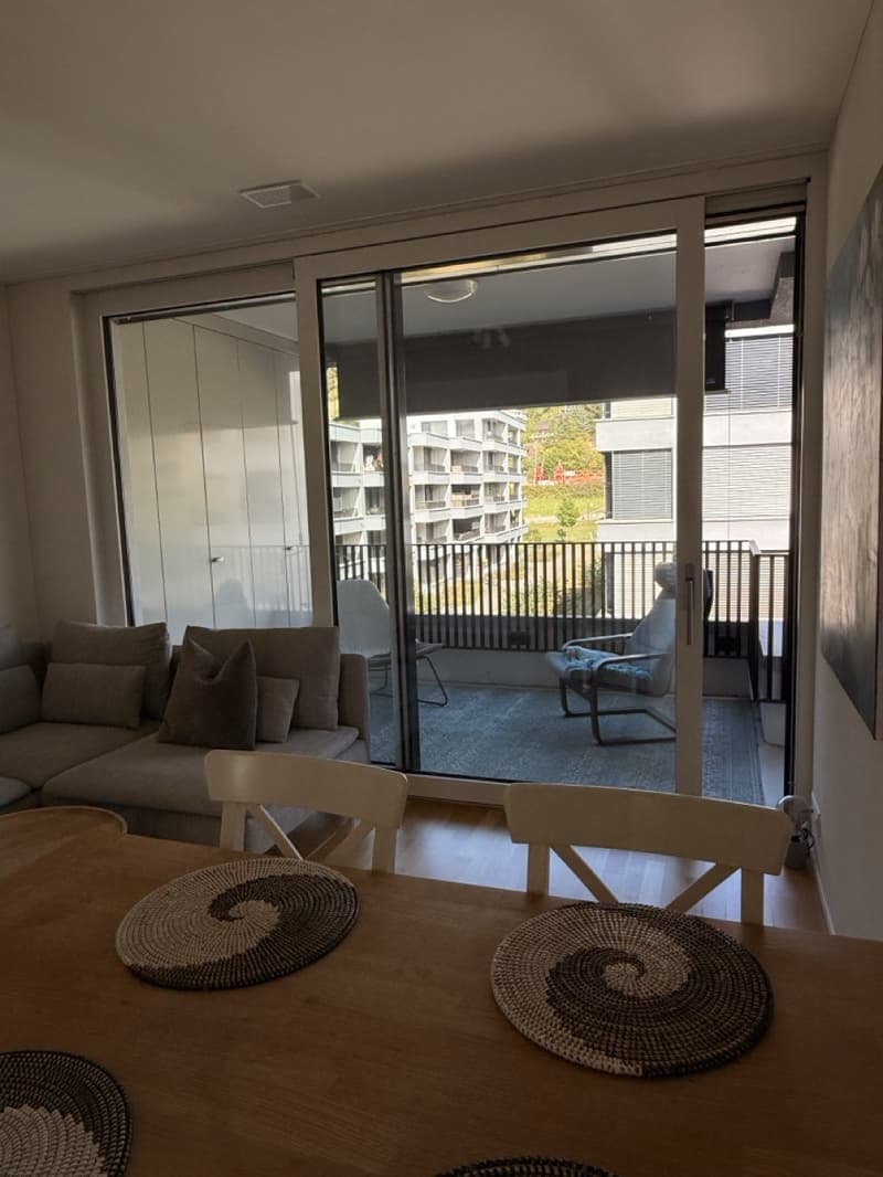 Modernes Apartment in Lenzburg (8)