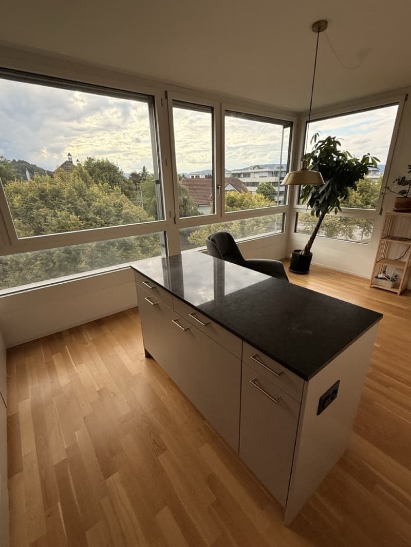 Modernes Apartment in Lenzburg (1)