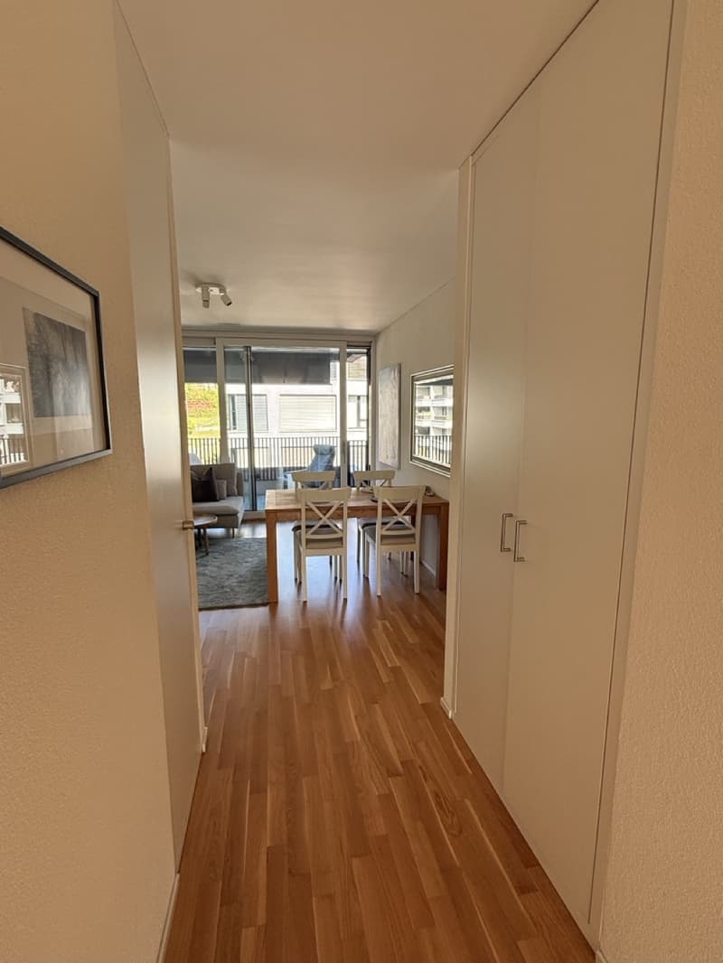 Modernes Apartment in Lenzburg (6)