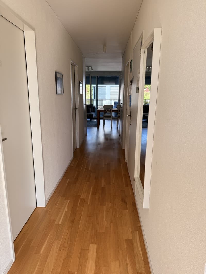 Modernes Apartment in Lenzburg (5)