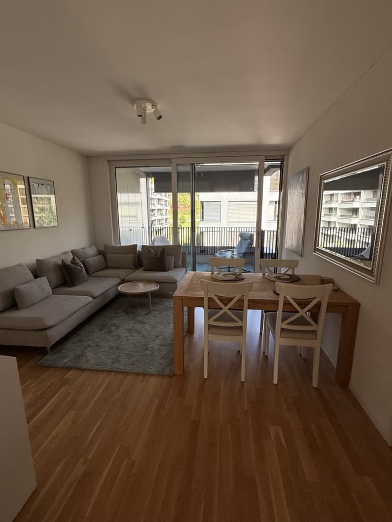 Modernes Apartment in Lenzburg (7)