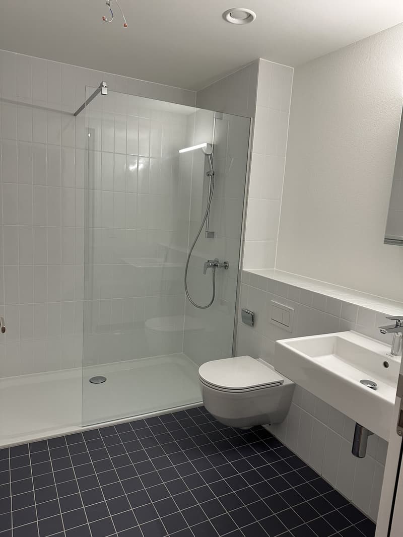Moderne 2.5-Zimmer-Neubauwohnung mit Balkon und Panoramablick in Zürich-Wipkingen (7)