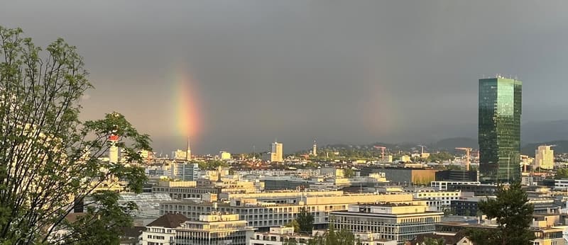 Moderne 2.5-Zimmer-Neubauwohnung mit Balkon und Panoramablick in Zürich-Wipkingen (2)