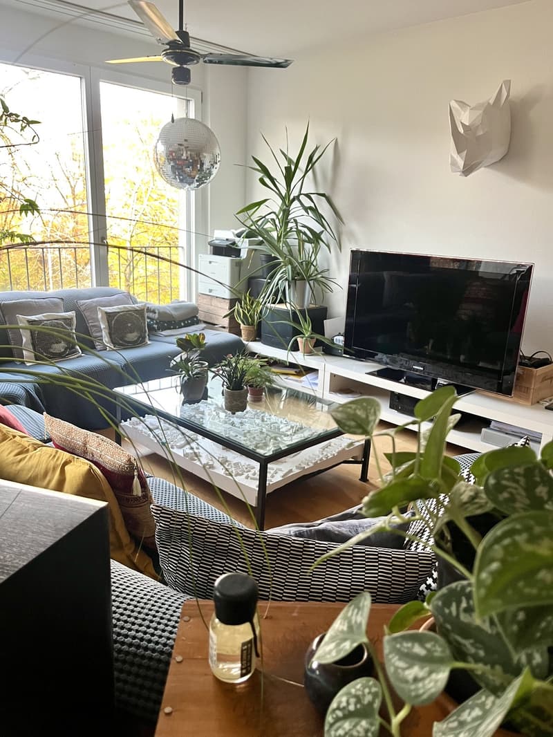 WG-Zimmer in 6er-WG im Binz Quartier per 1. September 2026 oder nach Vereinbarung, 1075,- (4)