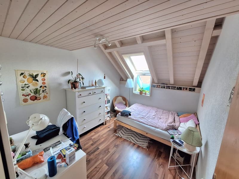 Helle 4.5 Dublex Zimmerwohnung (10)