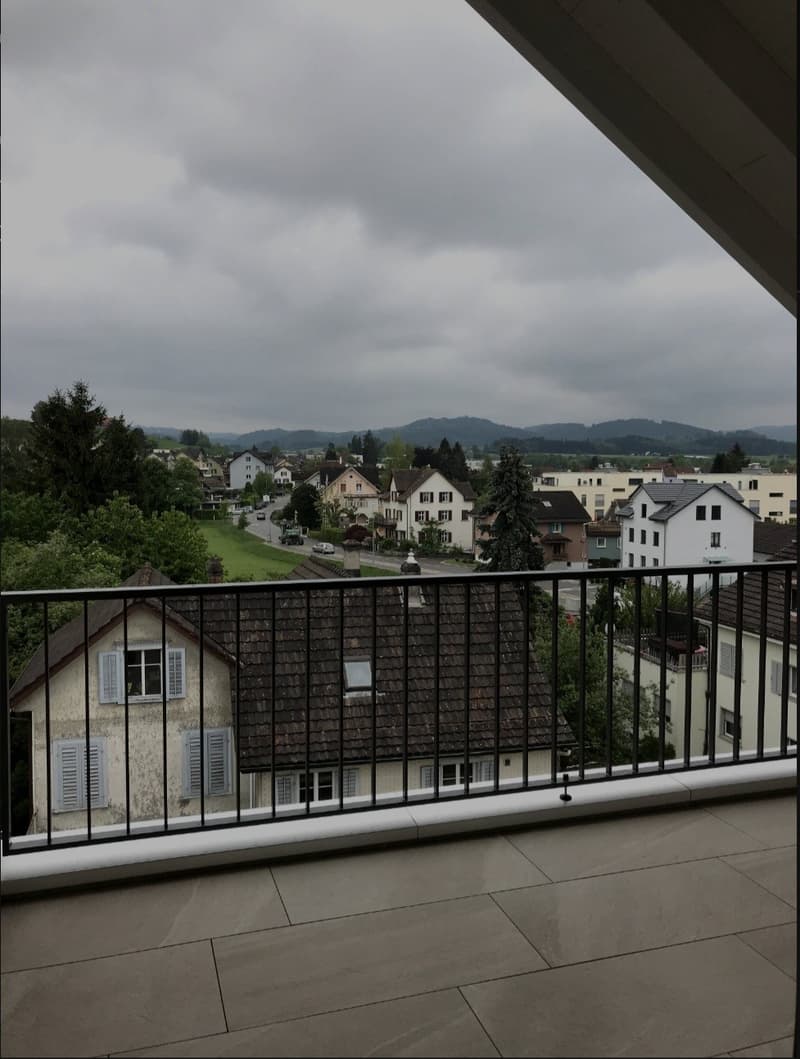 helle 2.5 Zimmer Wohnung (2)