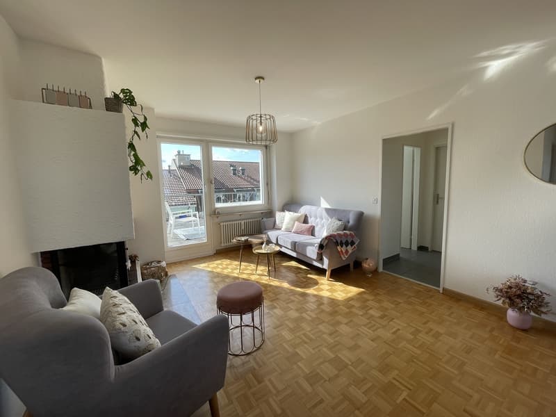 Unmöbliertes WG-Zimmer in möblierter Wohnung (1)