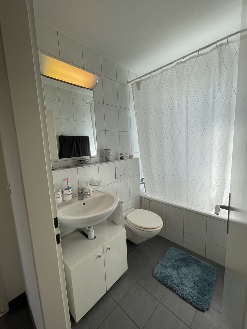 Unmöbliertes WG-Zimmer in möblierter Wohnung (4)