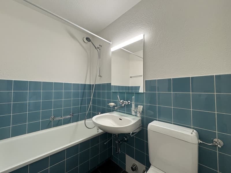 Schöne Wohnung zu mieten (3)