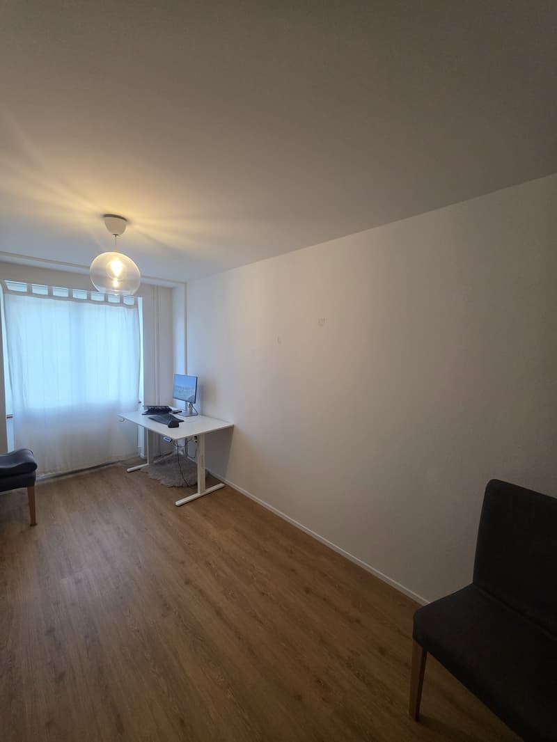3 Zimmer-Wohnung, 6005 Luzern (8)