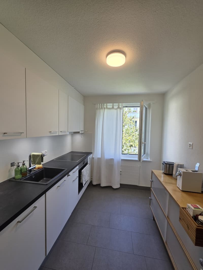 3 Zimmer-Wohnung, 6005 Luzern (4)