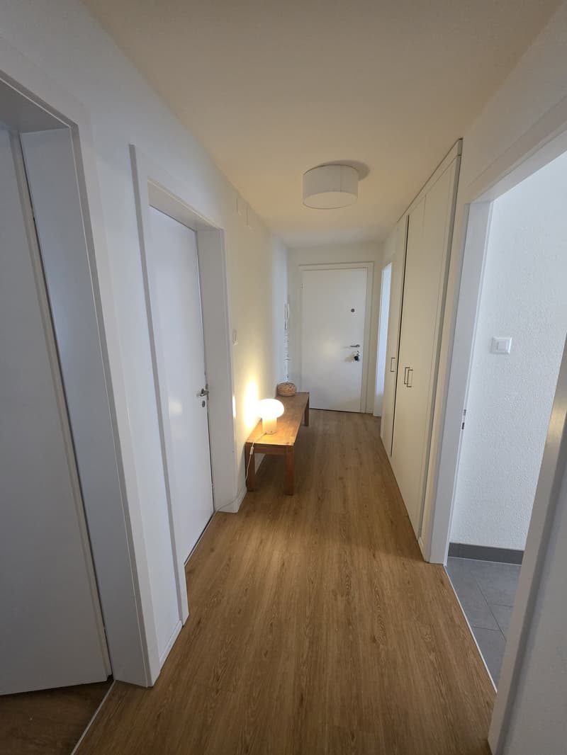 3 Zimmer-Wohnung, 6005 Luzern (3)