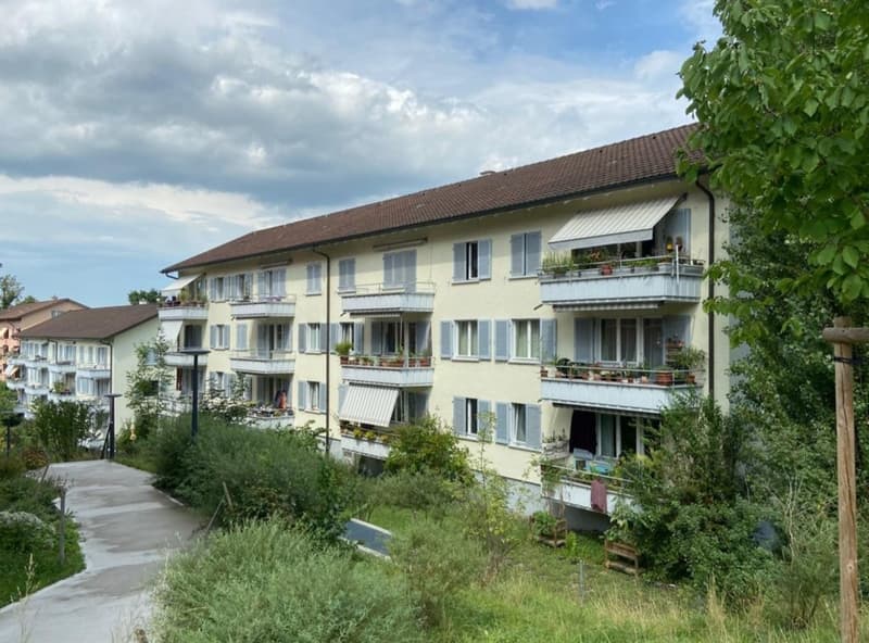 3 Zimmer-Wohnung, 6005 Luzern (6)