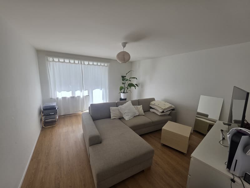 3 Zimmer-Wohnung, 6005 Luzern (1)